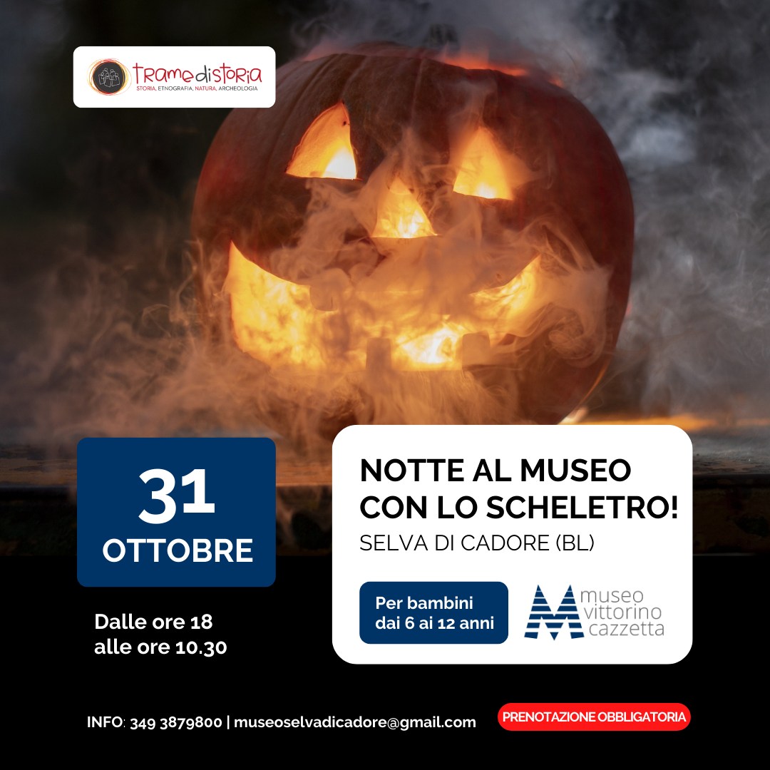Notte al Museo Vittorino Cazzetta 31 ottobre 2022