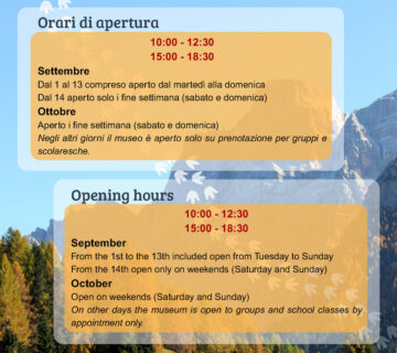 Museo Selva Orari apertura autunno 26