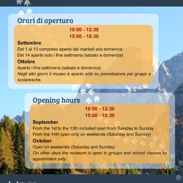 Museo Selva Orari apertura autunno 26